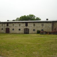 DSC03019